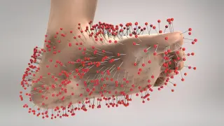 Nerve Pain Could Be Eased by Recharging Neurons with Fresh Mitochondria