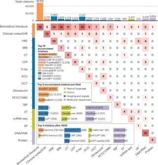 Charting the ascent of biomedical foundation models