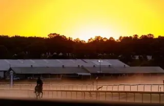 Preakness 2026: HRN Writers Reveal Their Top Picks