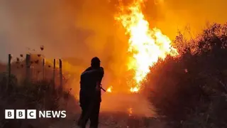 Algeria Eyes Death Penalty for Arsonists Amid Forest Fire Crisis