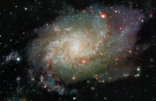 Bow-and-Arrow Galaxy BAARG Signals Supersonic Dive into a Galaxy Cluster