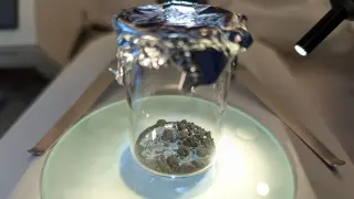 New Jersey Meteorite Sparks Fresh Clues on Life’s Origins