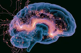 Histamine Waves Gate Real-Time Memory Access