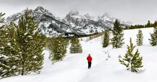 Stranded on a Summit: The Alpine Divorce Redefines Relationship Risk