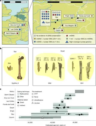 Northwestern Neanderthals formed a connected population with no recent human admixture