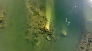 Dry Danube Reveals One of Rome's Longest Bridges in Bulgaria