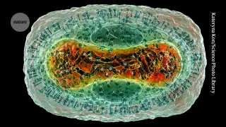 AlphaFold Database Expands to Cover Viral Protein Complexes for Pandemic Preparedness