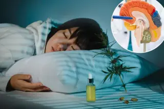 Cannabis at Bedtime: Does it Improve Sleep or Simply Reshape It?