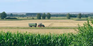 Alabama and Louisiana suspend dyed diesel penalties to ease harvest costs