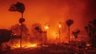 Anger at the World Fueled Palisades Fire, Suspect Was Furious on New Year’s Eve