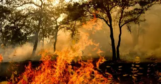 Valley Springs man arrested after sparking Gann Fire while seeking funds for a birthday dinner