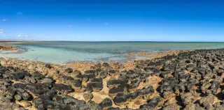 Western Australia’s 3.5 Billion-Year-Old Microbialite Archive Faces Severe Threats