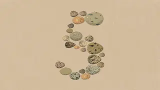 Anthropic’s Opus 5: A cost-friendly, everyday AI assistant