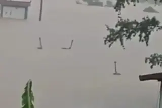 Hengzhou Floods Push Hundreds of Venomous Snakes into Town
