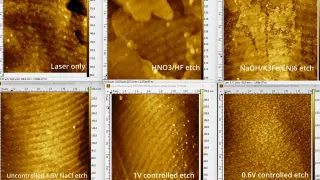 Peering into the Nanoscale: AFM Images Bacteria, Nanoprisms, and More