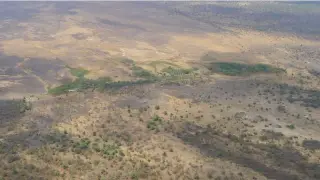 Early signs of a newborn continental rift forming in Africa