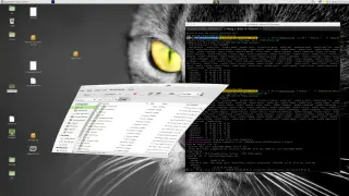 Rusty X11 Rival: yserver Aims to Replace Xorg with a Leaner Rust Display Server