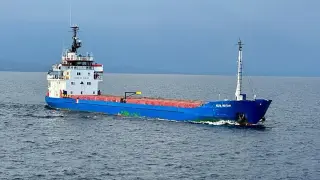 Bulgaria ends search for 10 sailors after Black Sea drone strikes sink cargo ship