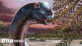 Thailand’s Nagatitan chaiyaphumensis: Southeast Asia’s biggest dinosaur unearthed