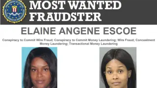 Jamaica arrest returns Florida COVID-relief fraud suspect to face federal charges
