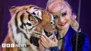 Police shoot escaped tiger near Leipzig after keeper attack