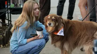 Amanda Seyfried Says Goodbye to Beloved Rescue Finn in Touching Instagram Post