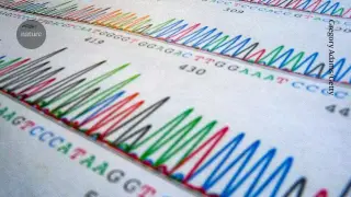 Largest GWAS uncovers first genetic risk clues for borderline personality disorder