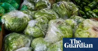 Congress blocks FDA food traceability rule until 2028, delaying response to cyclospora outbreak