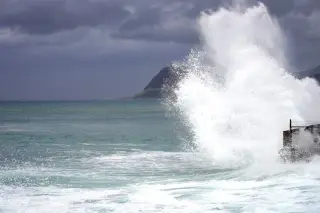 Surfer survives dramatic 12-foot tiger shark encounter off Oahu during hurricane swell