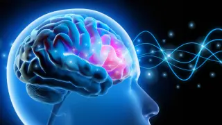 Targeted amygdala circuit tweak reverses anxiety in mice