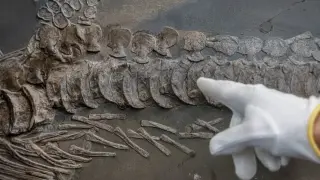 Could a lost civilization have reshaped Earth's climate long before humans?