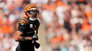 Bengals' Chase clears concussion protocol, Higgins returns for Dolphins clash