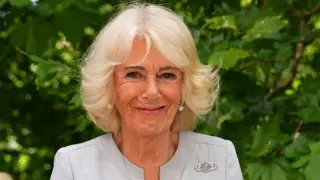 Camilla Emerges as Quiet Pivot in Harry–Charles Reunion