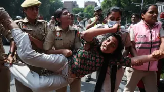 India releases Cockroach leader after massive Delhi crackdown