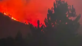 Hawk Fire Triggers Widespread Evacuations as Flames Grow Near Reno
