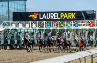 Preakness Week 2026 Preview: Incredibolt Joins 14, Silent Tactic Out