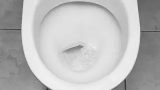 Toilet Flushes Could Release Airborne Germs, Study Warns