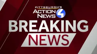Measles reaches Allegheny County as PA cases hit 340