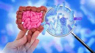 Cambridge Study Finds 75% of Sweeteners Alter Gut Bacteria Growth in Lab Tests
