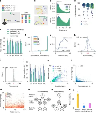 Triple-brain controller orchestrates continuous goal-directed decisions