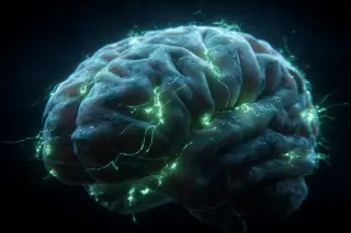 Small Immature Neurons Might Harden the Brain Against Alzheimer’s