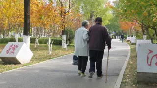 Moody's Warns Aging Populations Will Strain Global Finances Before Headcounts Drop