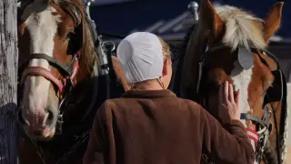 Pennsylvania Measles Outbreak Drives Shift in Amish Vaccine Attitudes