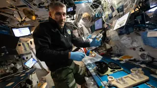 ISS Astronaut Luke Delaney Tests Plant Genetics in Microgravity