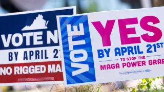 Virginia redistricting results blocked as judge bars certification