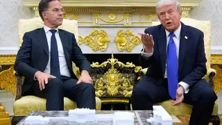 US halts planned Poland troop rotation amid Germany pullback