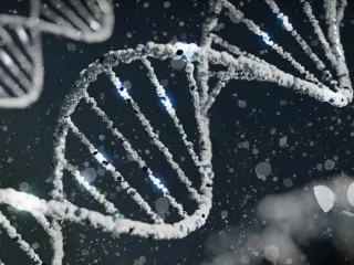 DNA Sets a Tiny Snapshot of Personality, with Experience Writing the Rest