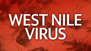 First West Nile virus deaths of 2026 recorded in California's Central Valley