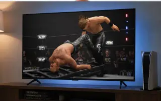 AEW Could Cut Costs on Future Wrestling Games Using Fight Forever Engine