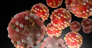 Fresh measles cases hit metro Atlanta daycare in ongoing outbreak